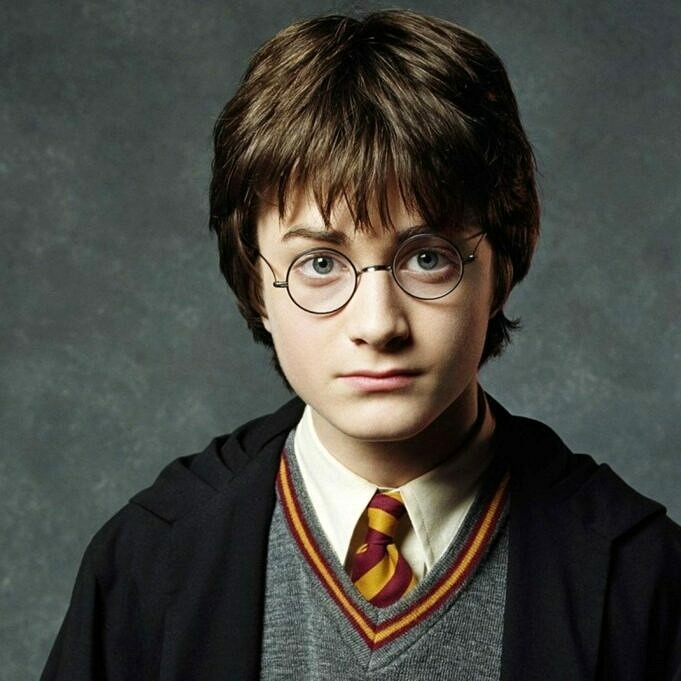 Plus De 100 Noms De Chiens Harry Potter. Idees etonnantes Et Magiques